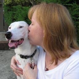 advocate for those without a voice, animal lover; music loving redheaded Texan