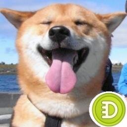 Dogecoin boost juice. (links to reddit, youtube, forums, blogs, imgur, HN) with avg price every 6h.