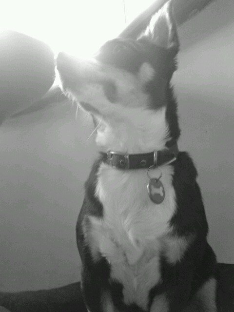 DeLara2055's profile picture. 