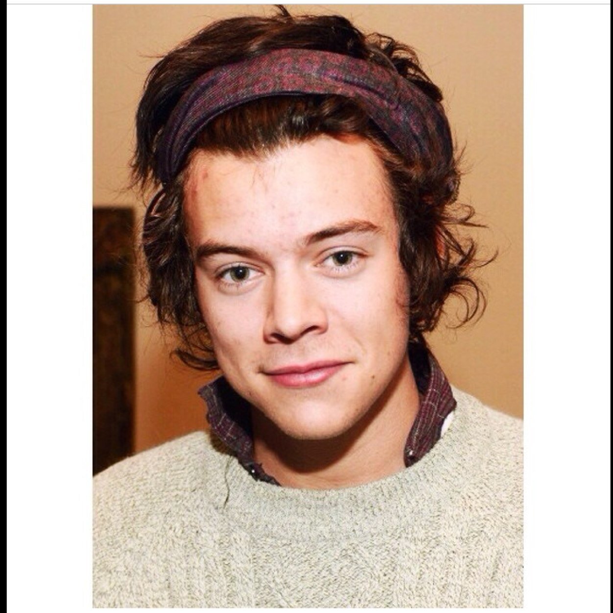 I just post pictures of harry styles