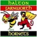 HFH Open Age Rugby (@hfhopenage) Twitter profile photo