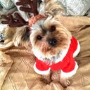 Rachel Holman - @rholman0821 - Twitter