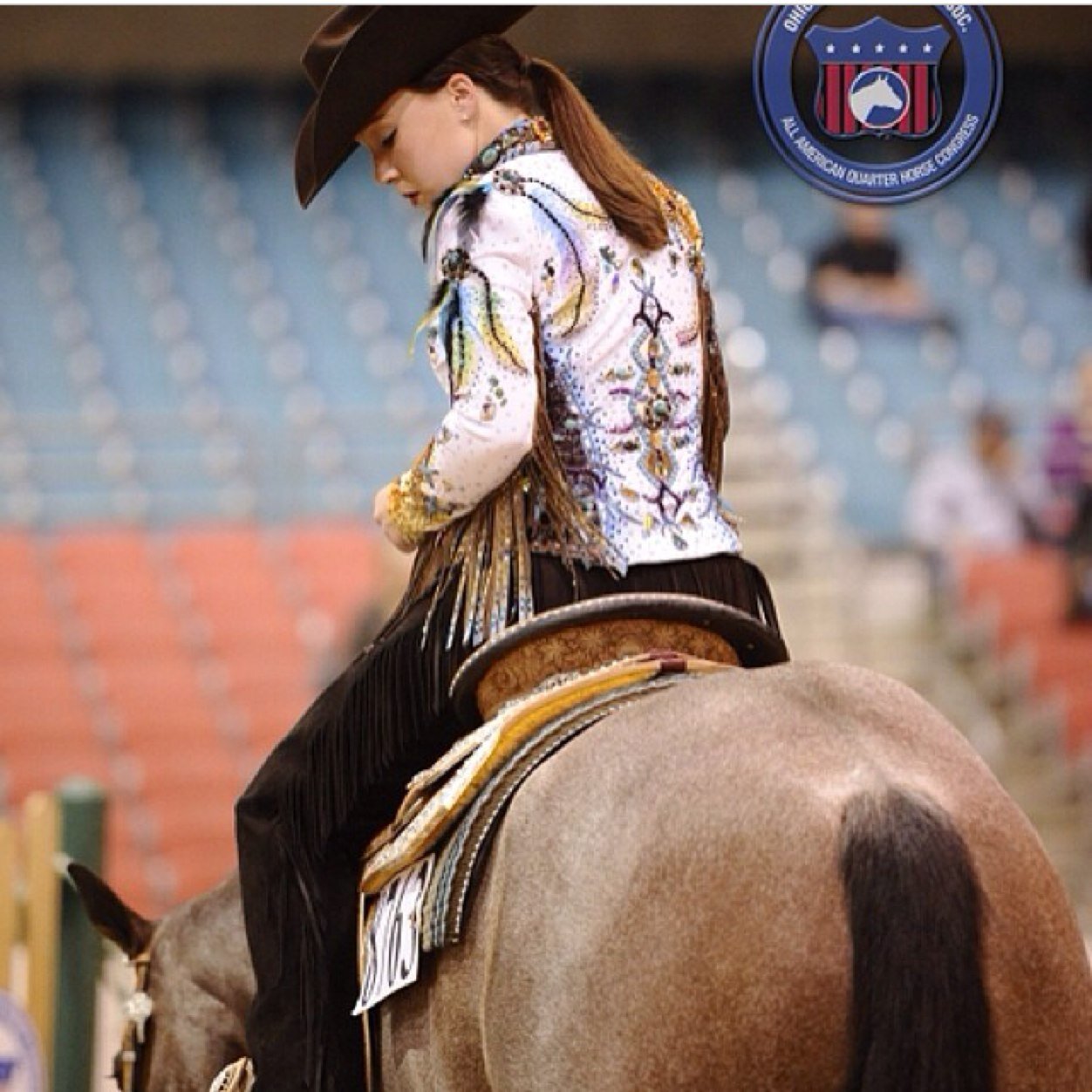 AQHYA National Competitor | All American Quarter Horse Congress Top 5 | WE ARE EQUESTRAINS & WE ARE ATHLETES. |
