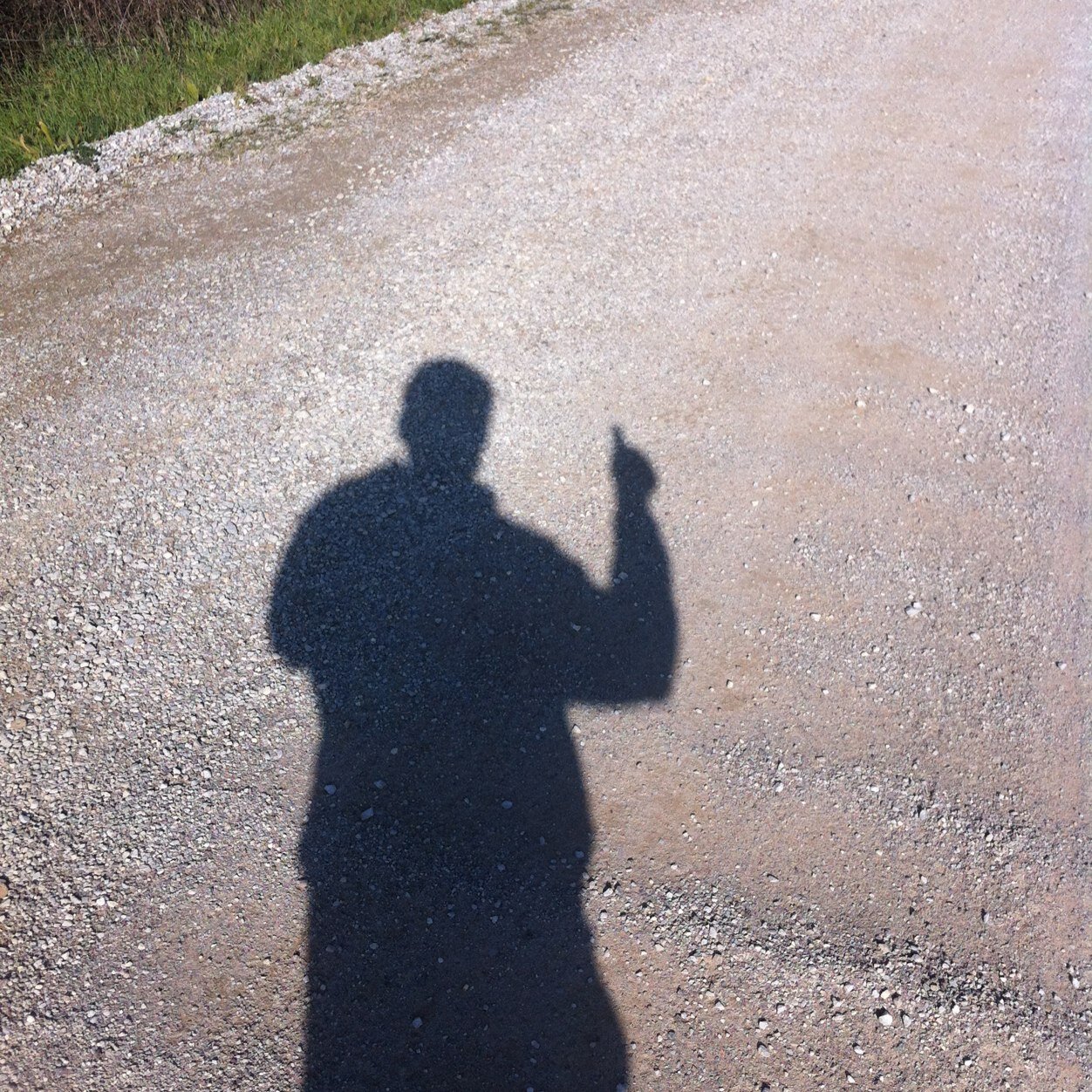 attrazione16's profile picture. @navigatore