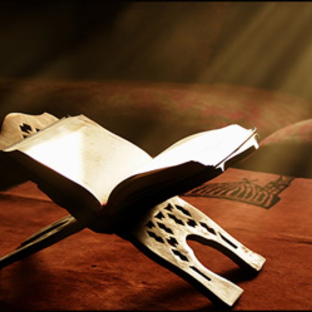 QuranVerseDaily's profile picture. 