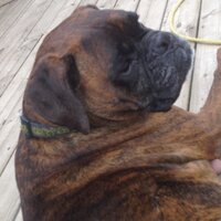 Michelle (@michg08) 's Twitter Profile