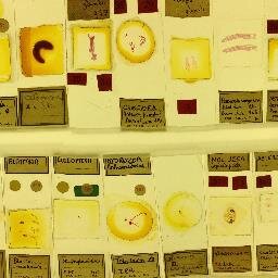 k_curators's profile picture. Ask any question about Law Department Management, Operations and Technology. We find the answer. Concierge Knowledge Curation services for Law Departments