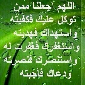 يارب رضاك والجنه
