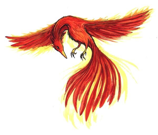 TeamFenixYT's profile picture. 