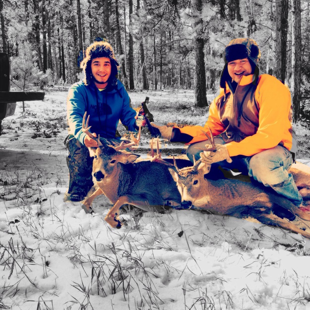 brooksbigballs's profile picture. 