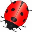 Connie Drew - @DrewLadyBug - Twitter