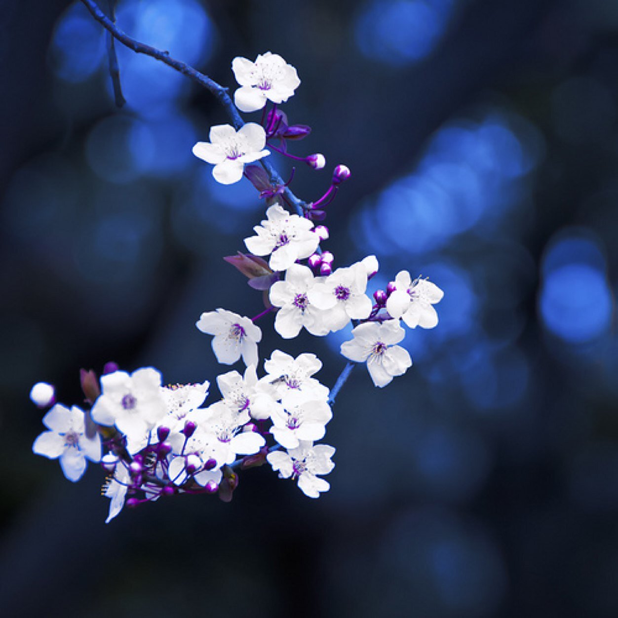 latenightfeels's profile picture. I guess you could say ive got a lot of emotions