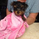 Linda Ann Bradshaw - @lindaabrad - Twitter