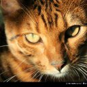 Pascal Camille - @Pascal_Camille - Twitter