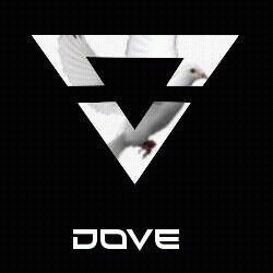 Don't play anymore but plan to carry Dove with me forever. YouTube channel is Valid Dove.