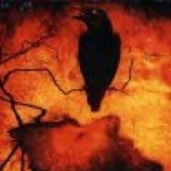 danewood's profile picture. 