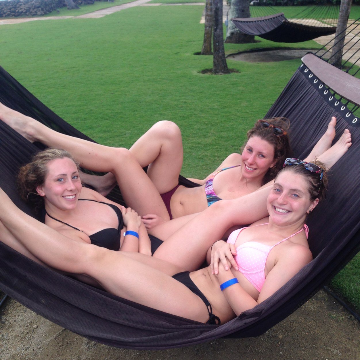 AllieVitous's profile picture. 