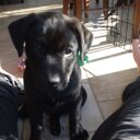 Erin Bledsoe - @erin_this - Twitter