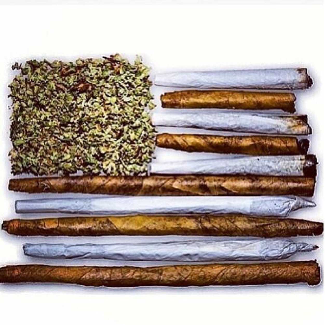 #stoner #legalize #weed #marijuanasmoker #norml #420 #redneck #confederate #southernpride