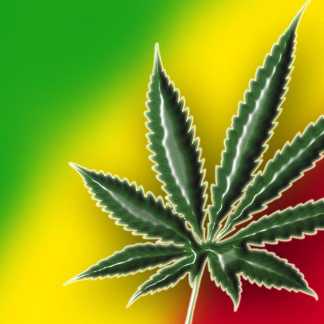 Posting daily pics of the dankest weed. Send in your pics or tag us in a tweet for a retweet!
