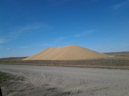 kahgarden's profile picture. 