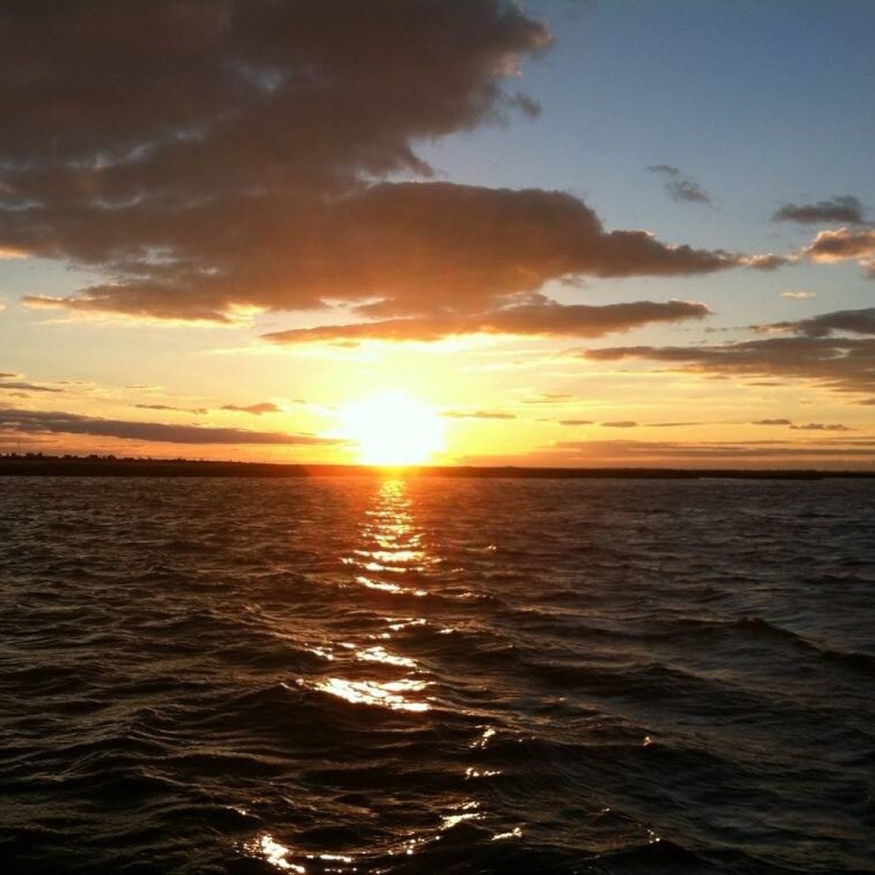 firesolutions's profile picture. 