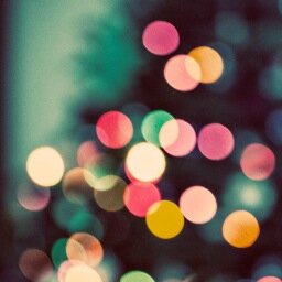 studio_claire's profile picture. Photographer, Writer, Teacher, Wife, Mother of Two, Knitter, Gardener, Artist, member of fPOE