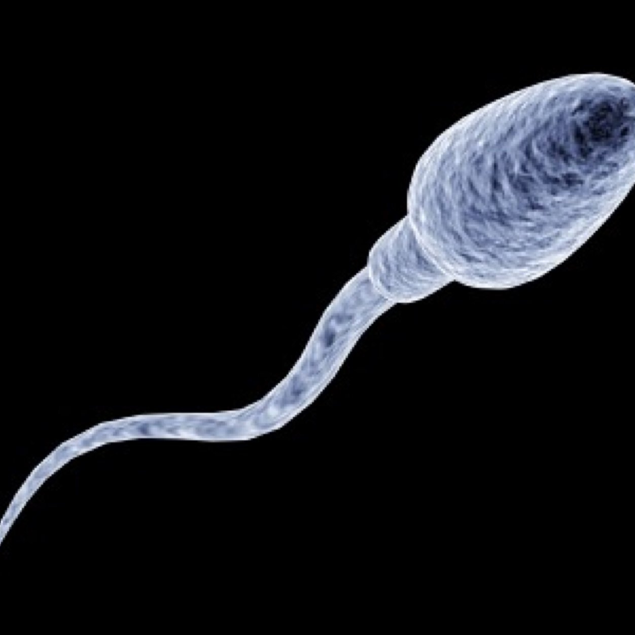 @jaibrooks1 sperm