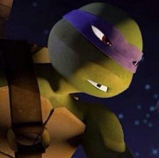 I'm the brains, Good with Technoligy and trying to make retro mutagen to cure all those mutants out there. I'm very smart so I can almost think of everything.