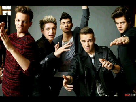 I'm directioners Nialler  Crazy Mofos Stylater