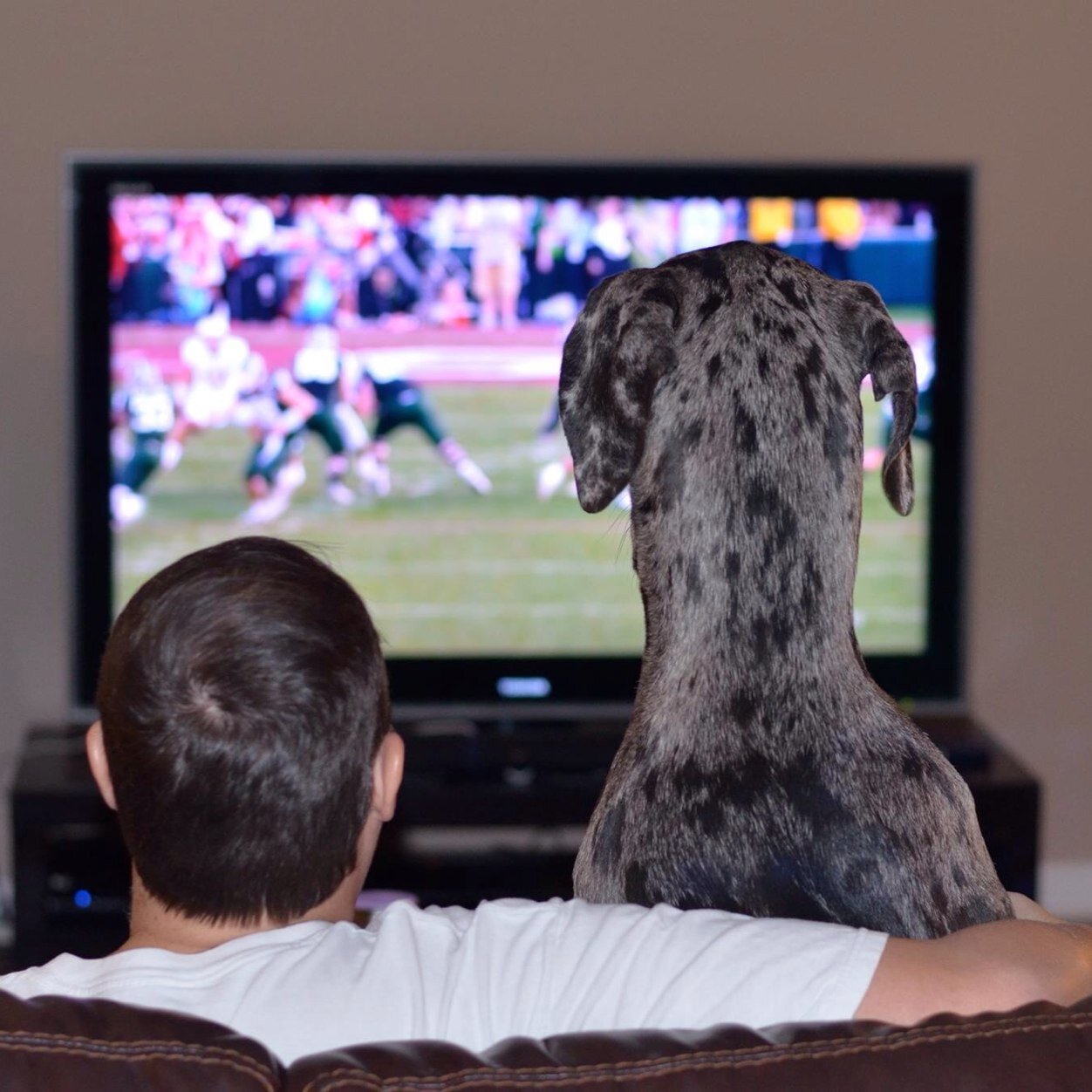 BamaJuggs's profile picture. Huge sports fan. Amateur football speculator. Chronic sufferer of wanderlust. UA Alum. Roll Tide! Go Niners! Dortmund fan before Pulisic.