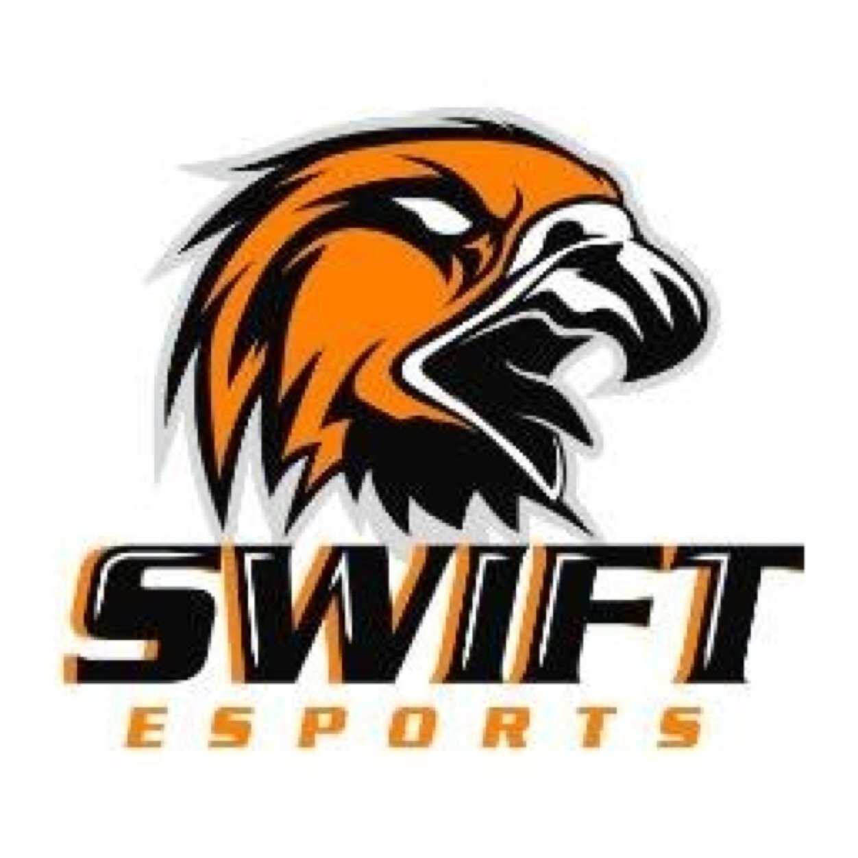 Roster - @Swift_Ripkin Use the code Swift5 for your @cinchgaming controller