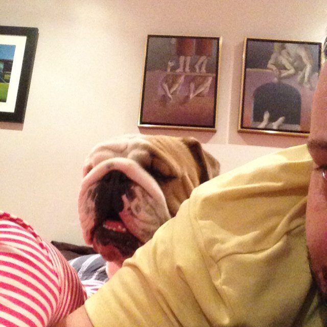 gmdod's profile picture. 