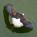 david mallette - @davidmallette3 - Twitter