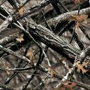 anthony pape - @redneck661997 - Twitter