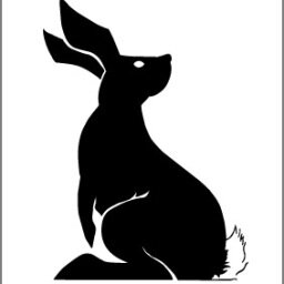 BlackRabbitThea's profile picture. A new theatre company focusing on bring affordable works of art to Toronto.