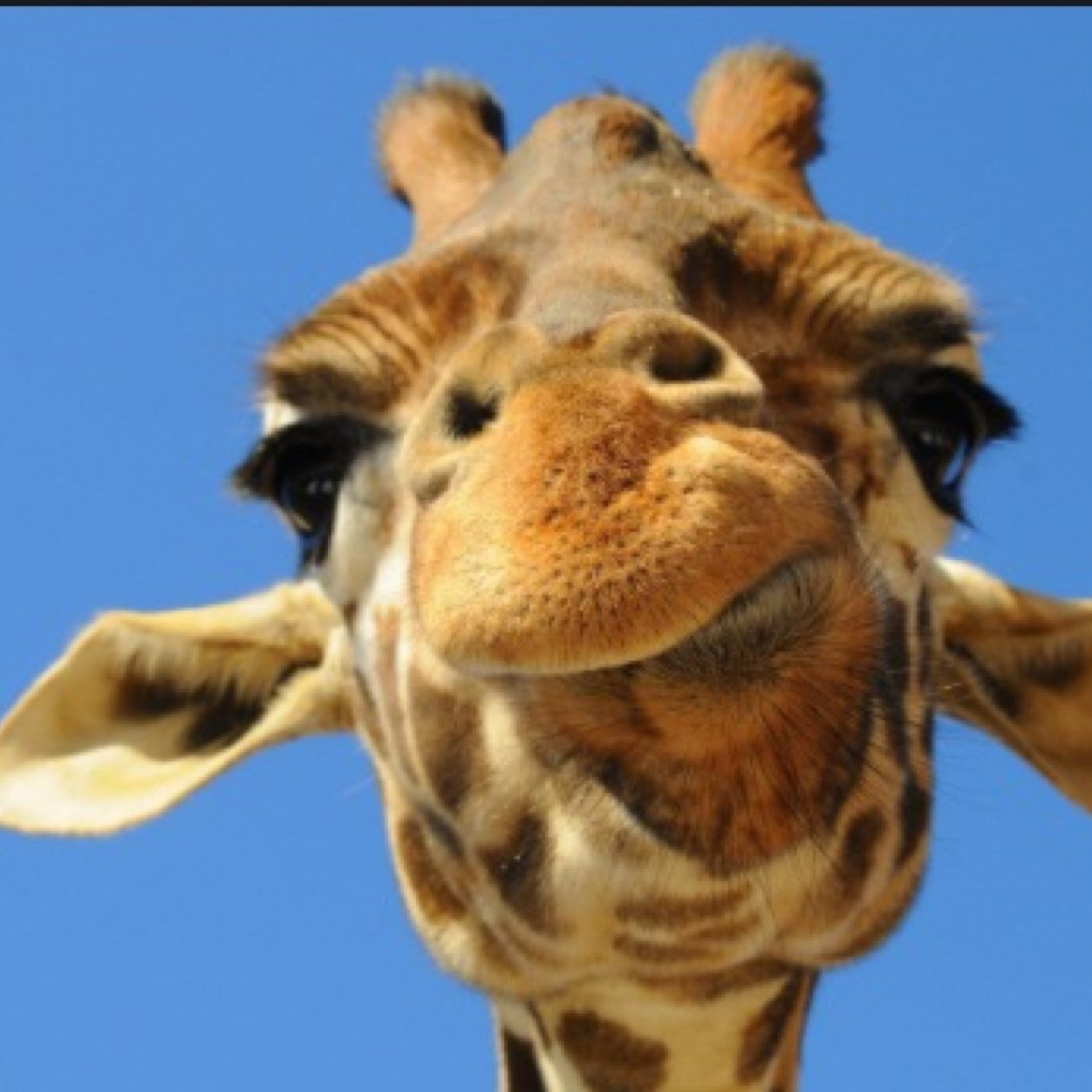 cravingharrys1's profile picture. Wait, what?