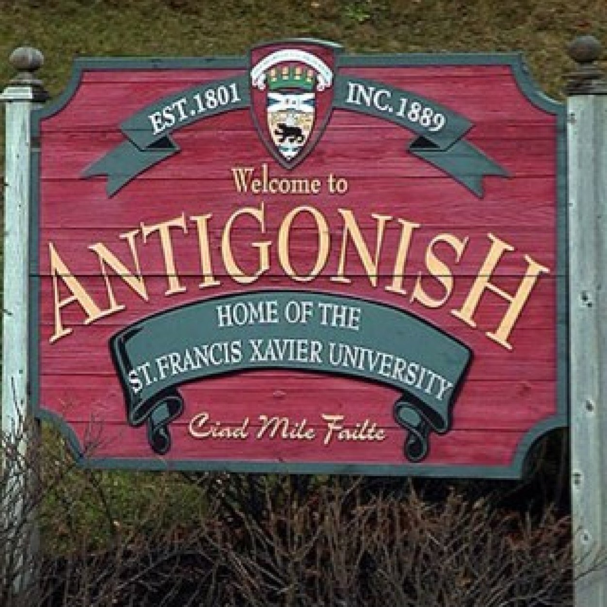 nishconfessions's profile picture. For the things you can't confess in church.