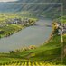 RudiWiest Selections (@rudiwiestwines) Twitter profile photo