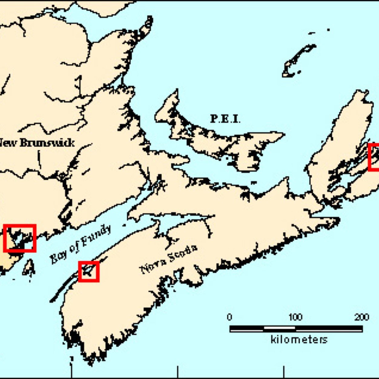People from the maritimes say what?!
Or what we dont say!