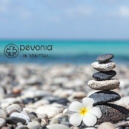 Free of parabens, artificial colour and fragrance, Pevonia Botanica is passionately committed to providing effective skincare solutions to every age & ethnicity