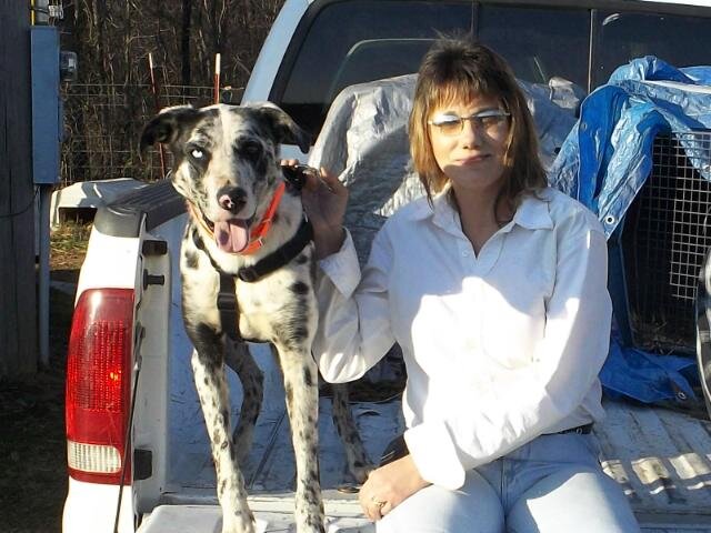 GertieRandall3's profile picture. love my country, sports, hunting, fishing, and just relaxing, spending with my family