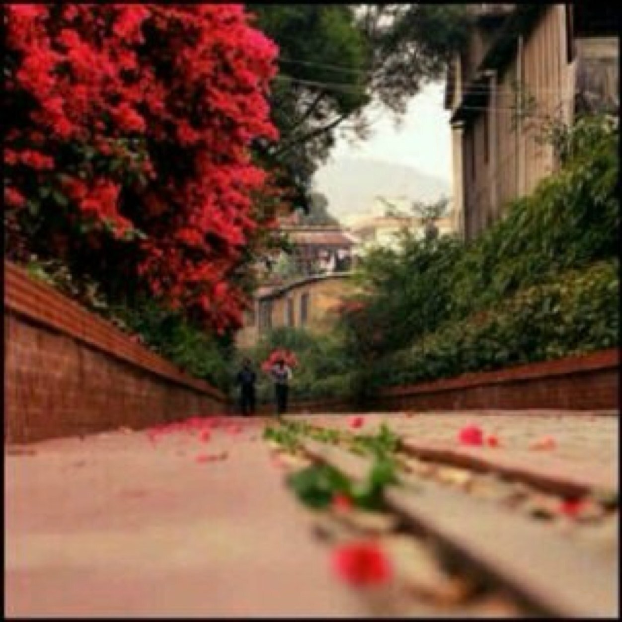 ‏أستآذه أكآديميہ في دآخلي وطن من آلآمنيآت وآكبرهآ الجنہ♡