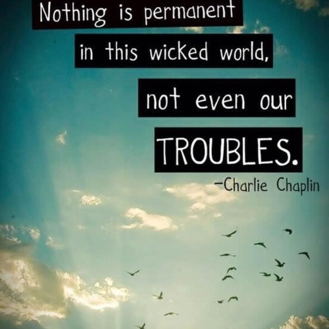 BePositive2k14's profile picture. Just a city girl trying to make a difference in the world. Need encouragement? That's what I am here for! Follow me for a follow back :)