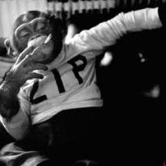 astronauta de la nasa, actor , armador profesional de arbolitos de navidad,ingeniero en pegar porros, vendedor de bananas.