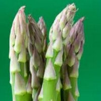 Ben Werling (@msuwestveg) 's Twitter Profile