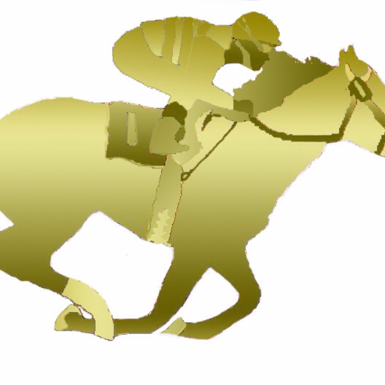 BackingHorses's profile picture. Racing Info for Today's Races.
