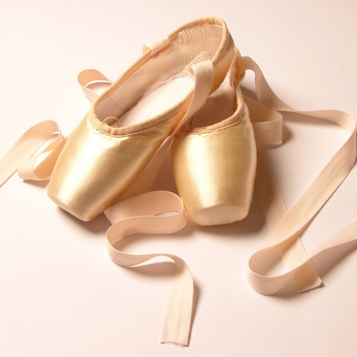 VampOnPointe's profile picture. 24/Three anxious hamsters in a trench coat