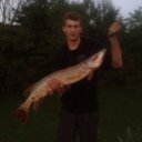 adam krall - @adam_krall - Twitter