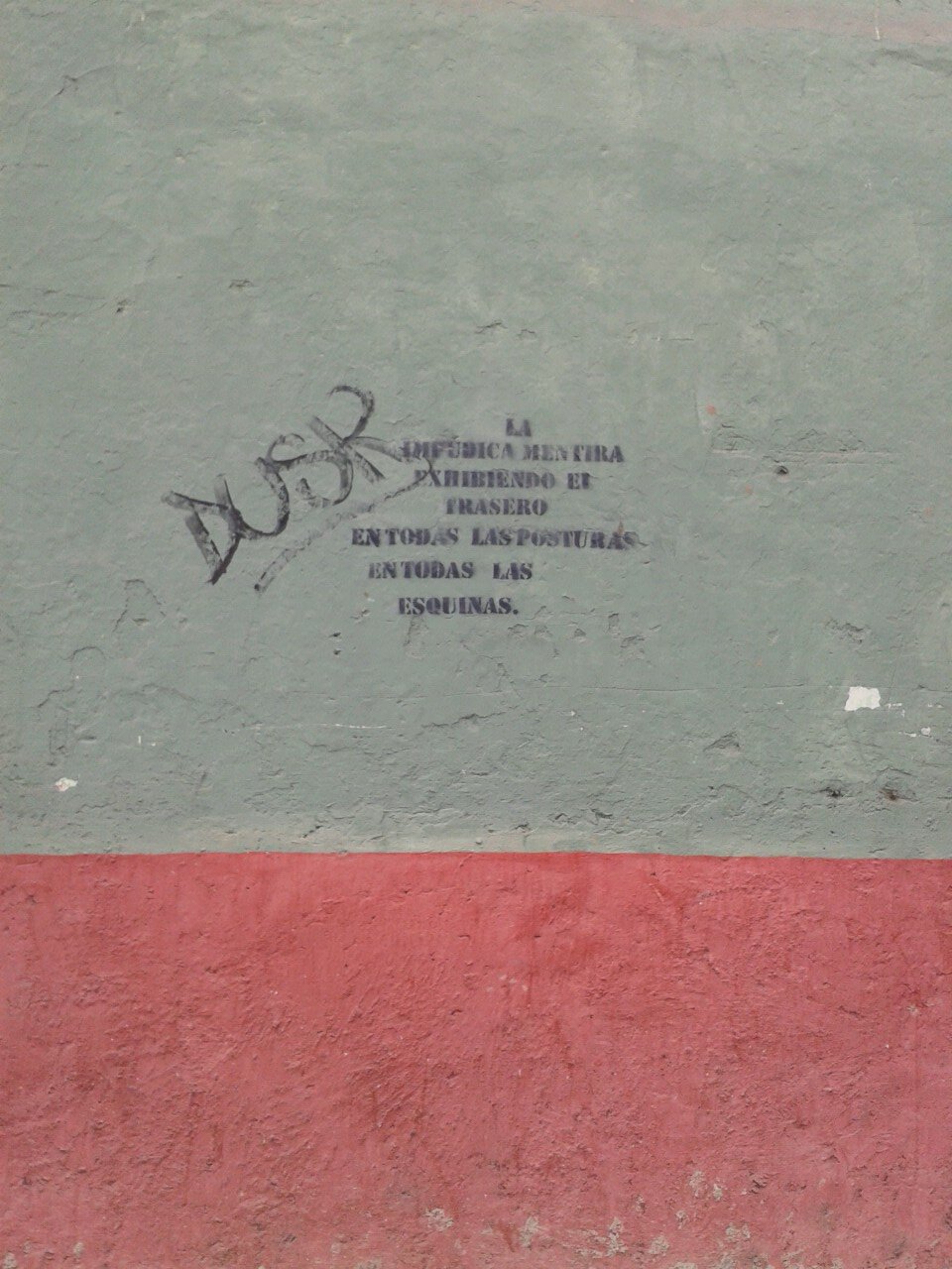 poko_floro's profile picture. Ambiente y Política